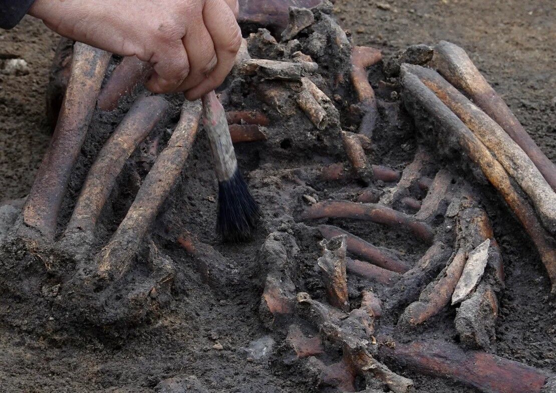 The skeletons were exceptionally well preserved due to the chalk and water in the ground