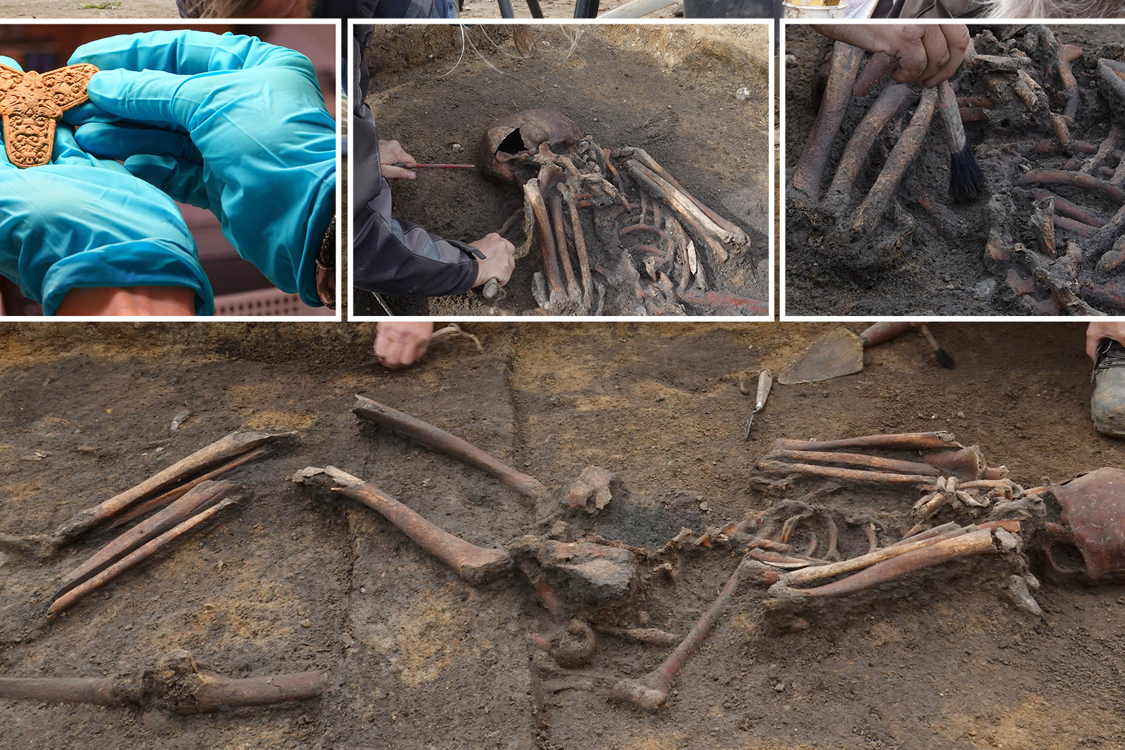 Viking burial ground with dozens of rare near-complete skeletons