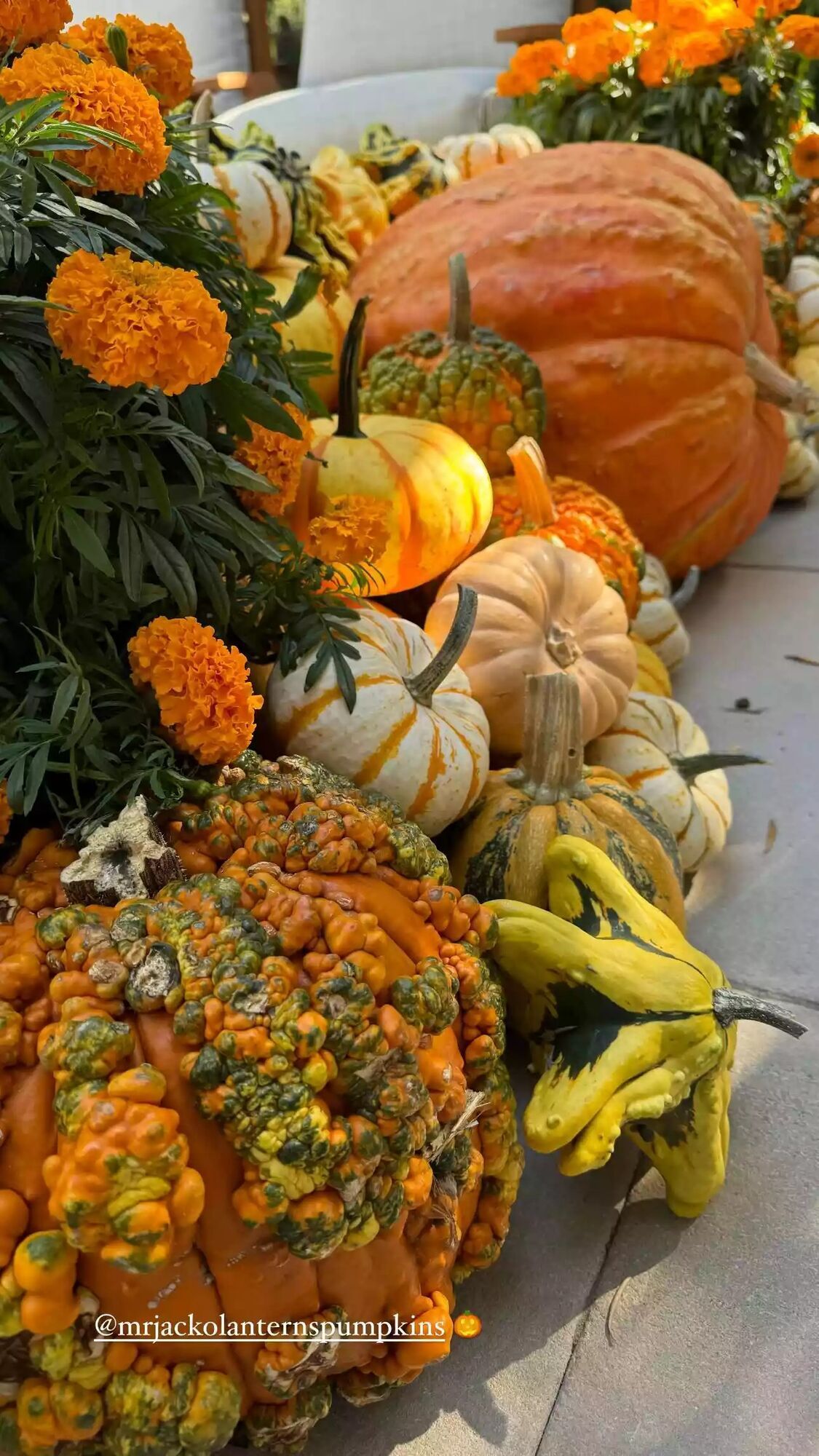 Pumpkins at the party.