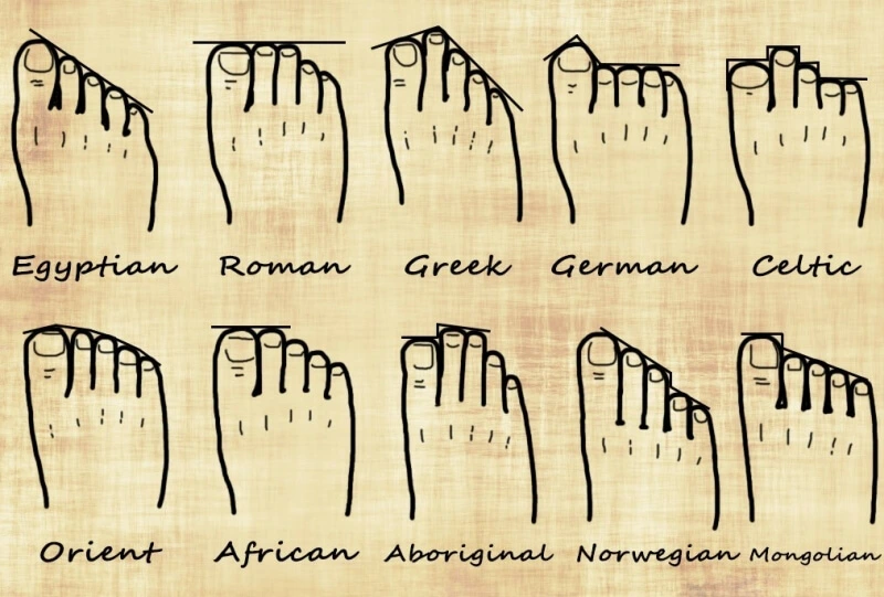 Types of feet