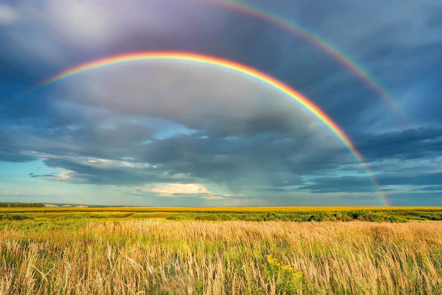 Dreaming About Rain: Spiritual Meanings and Cultural Insights