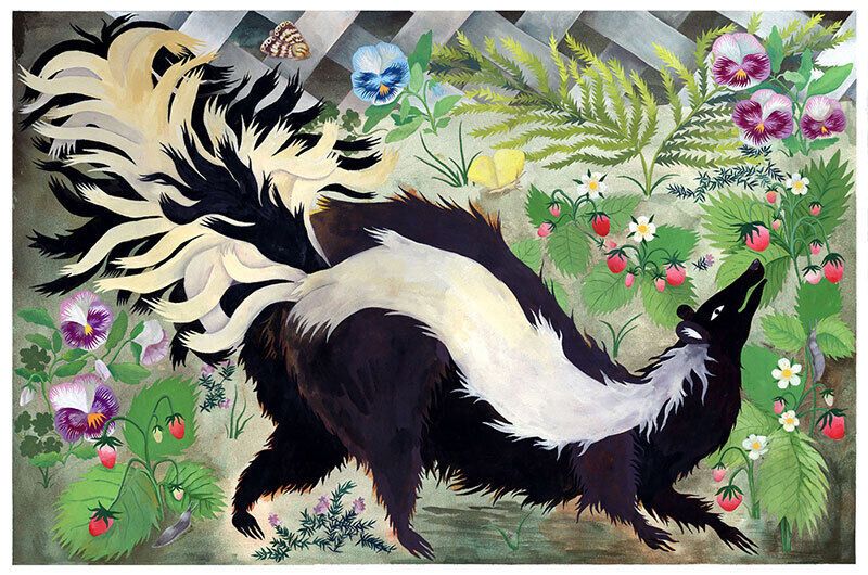 Spiritual Meanings of Skunk Dreams