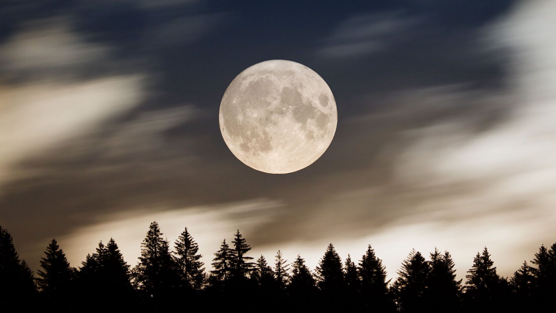 11 Spiritual Meanings of the Sturgeon Moon