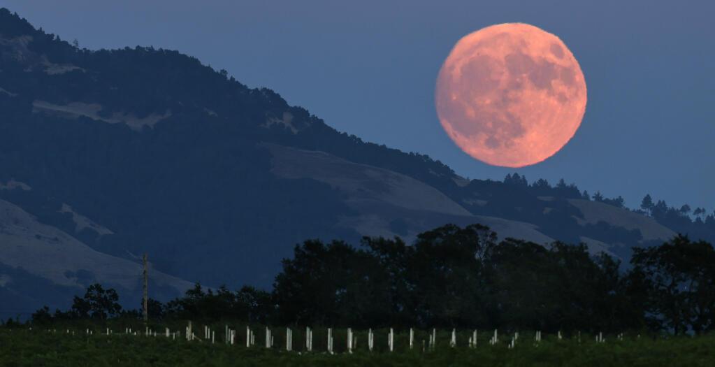 11 Spiritual Meanings of the Sturgeon Moon