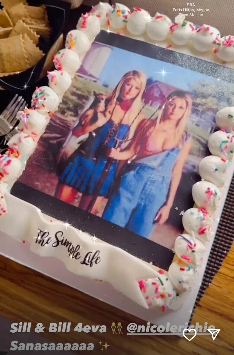 'The Simple Life' cake on Paris Hilton's private jet.