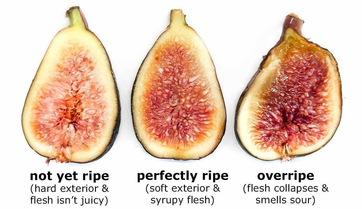 Figs