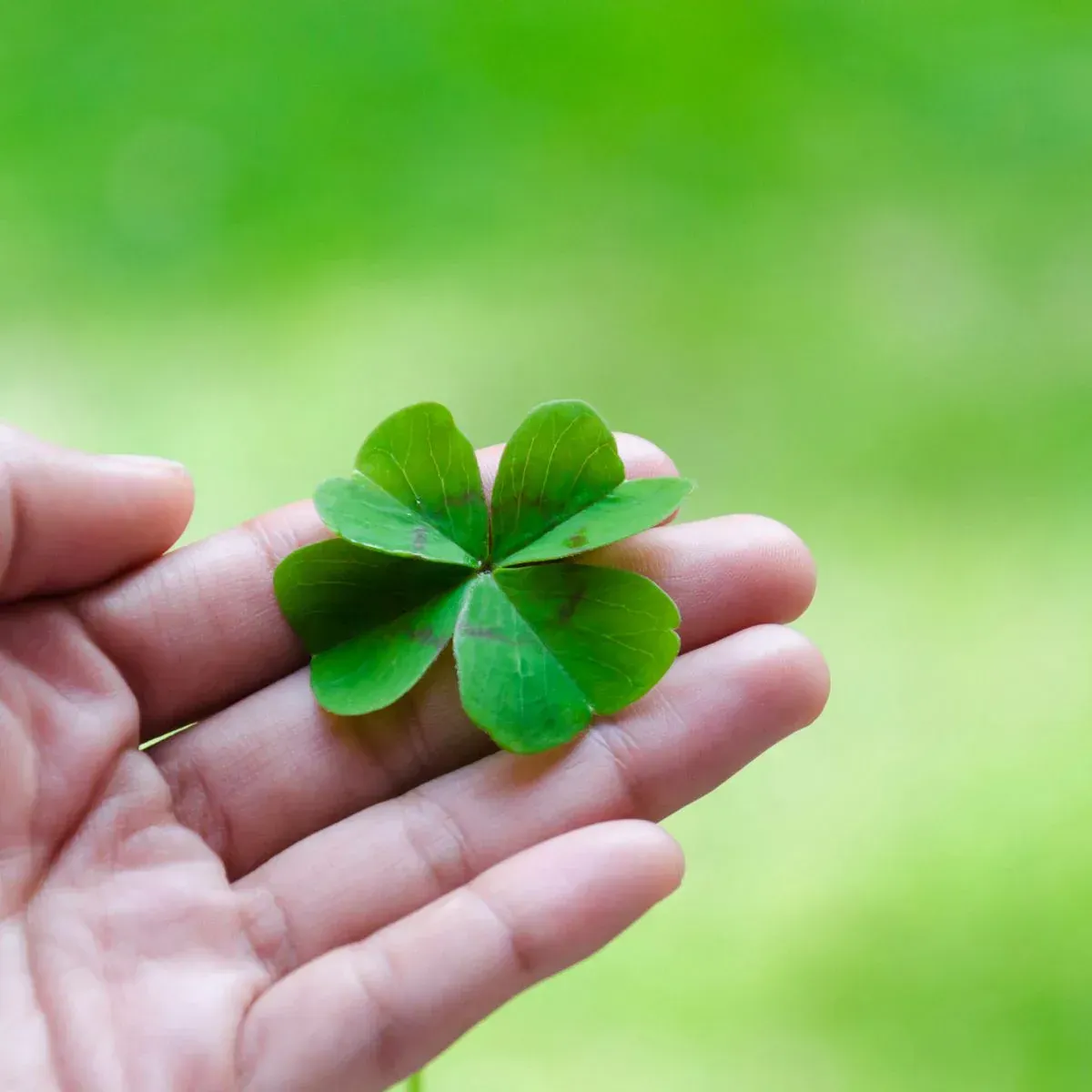 Spiritual Meanings of Four-Leaf Clover