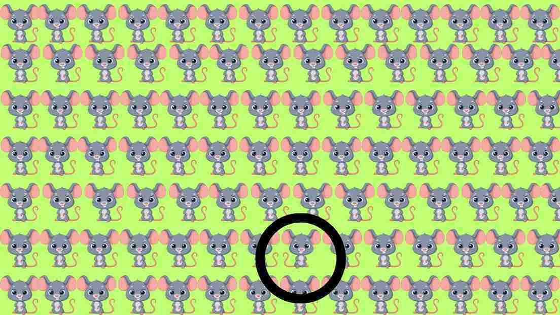 Brain Teaser: Find The Odd Mouse