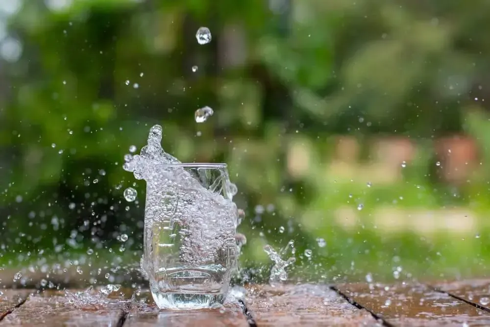 Is Drinking Rainwater Safe?