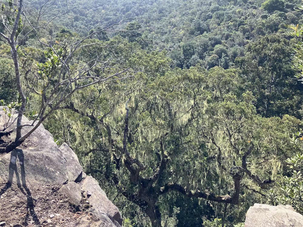 View of the Oakhurst rock shelter valley, Oakhurst farm, near Hoekwil, South Africa