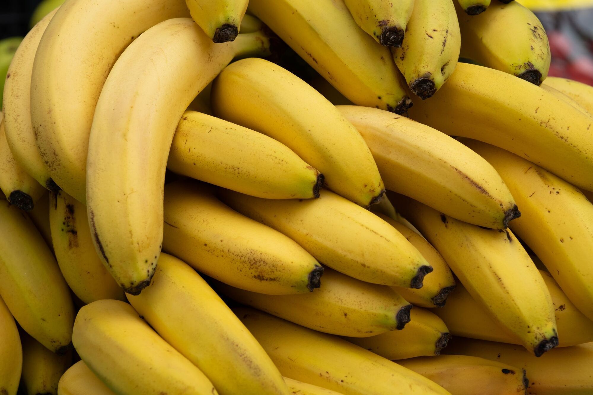 Why Are Bananas Considered Bad Luck on a Boat?