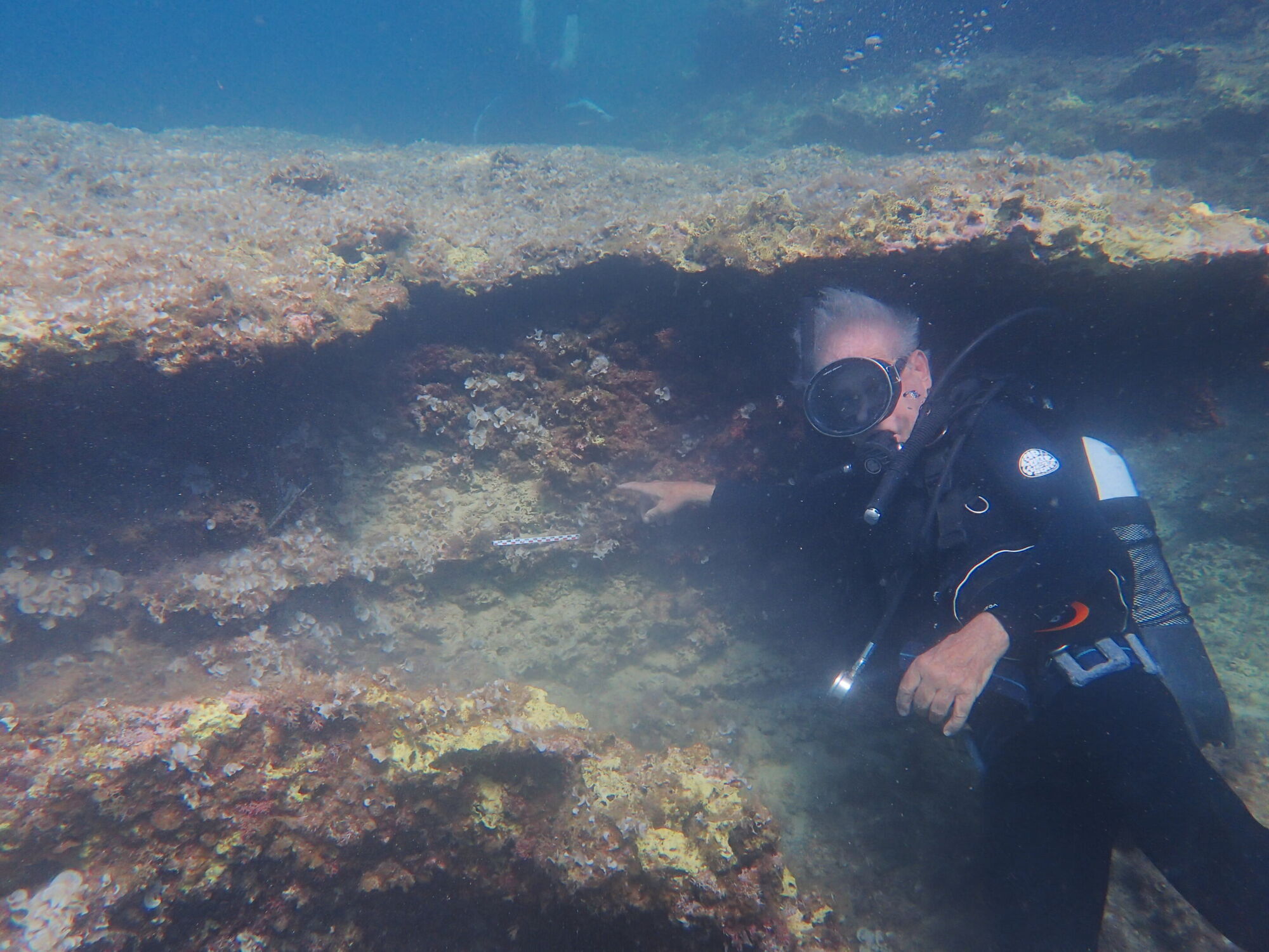 Coastal and underwater cave sites in southern Sicily contain important new clues about the path and fate of early human migrants to the island