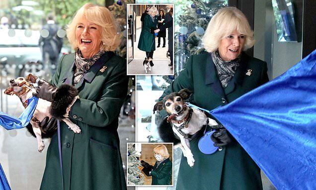 Queen Camilla with her dog Beth