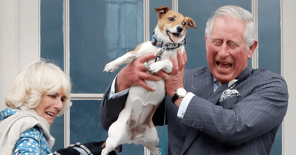 King Charles and Camilla with their dogs Beth (left) and Bluebell (right)