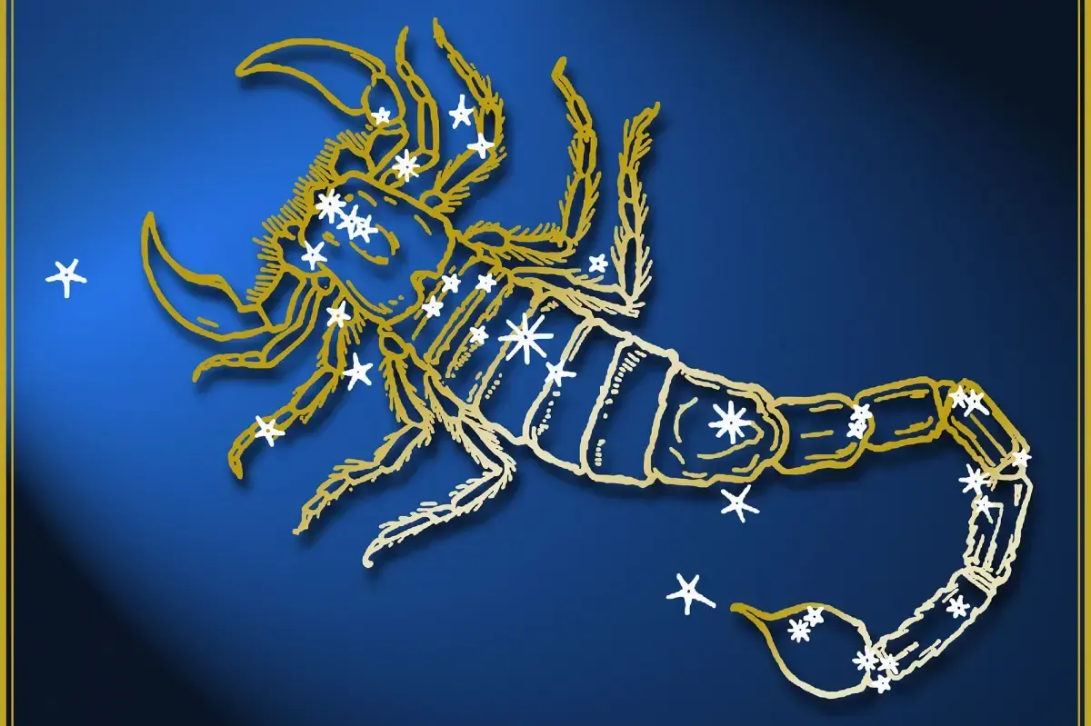 7 Spiritual Meanings of Scorpion