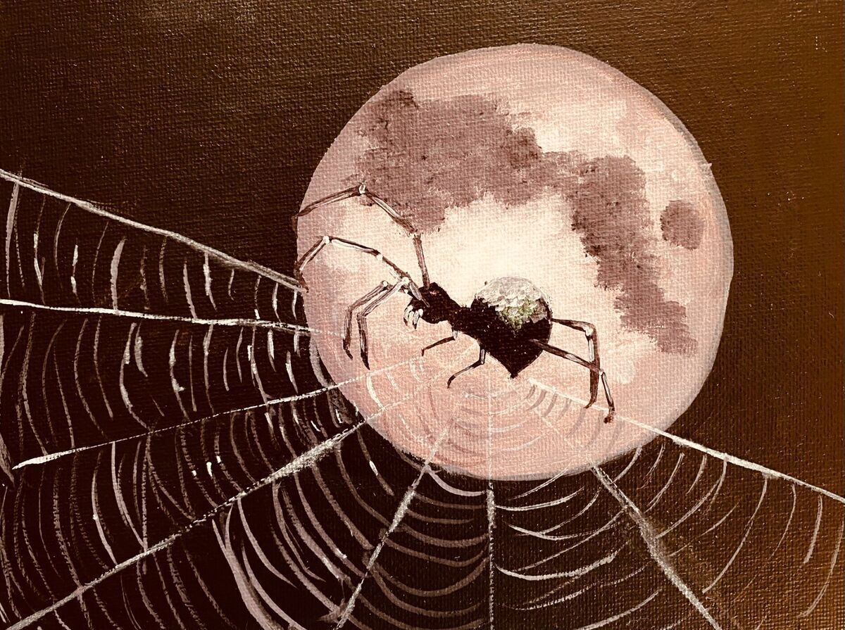 What Spider Dreams Symbolize: Creepy But Meaningful Encounter