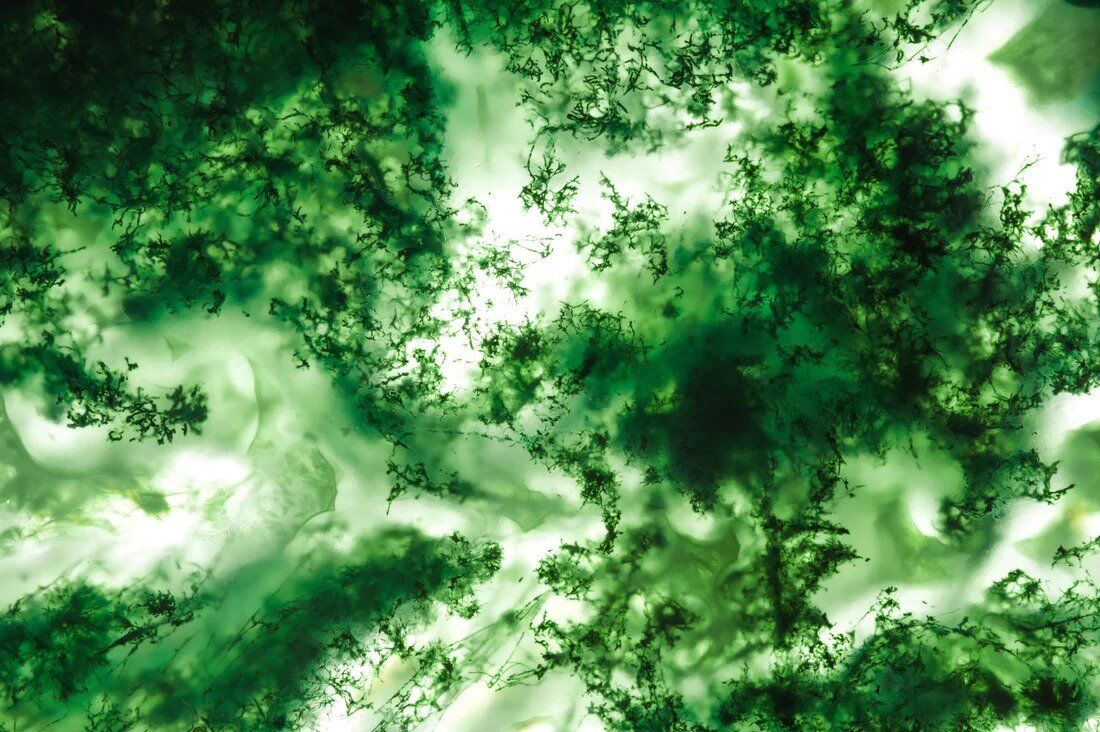 11 Spiritual Meanings of Moss Agate