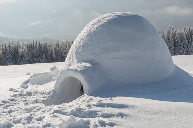 Understanding the Igloo in Your Dreams