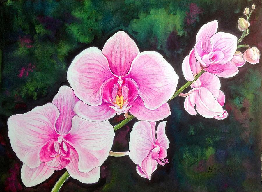 What Orchids Symbolize Spiritually: Tender But Hardy