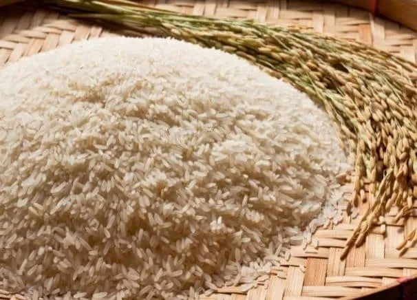 Rice