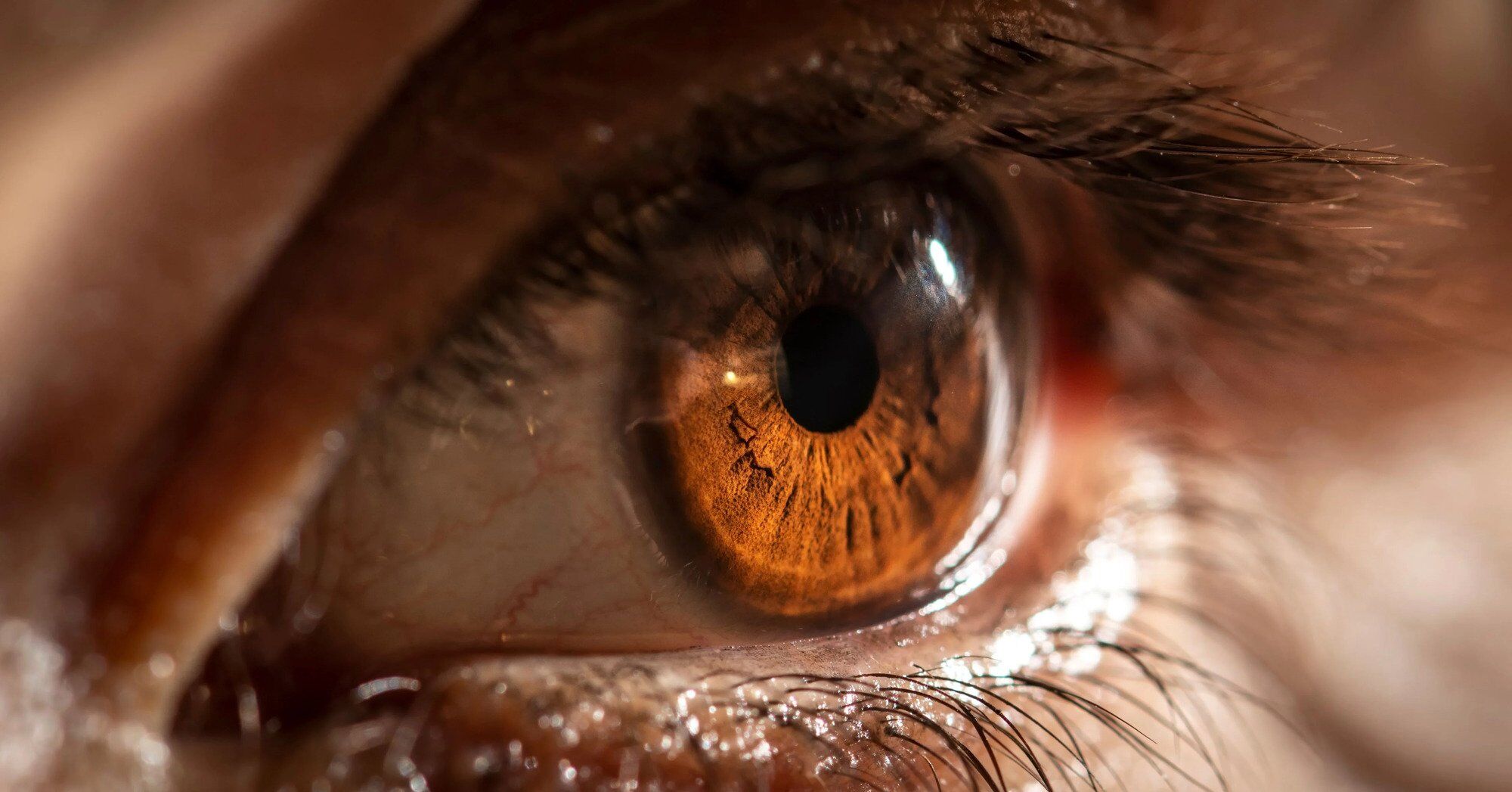 9 Spiritual Meanings of The Eye