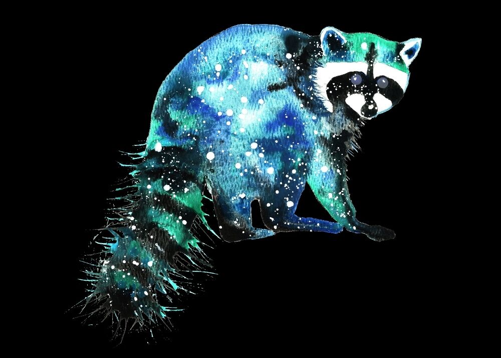 Racoon dream meaning