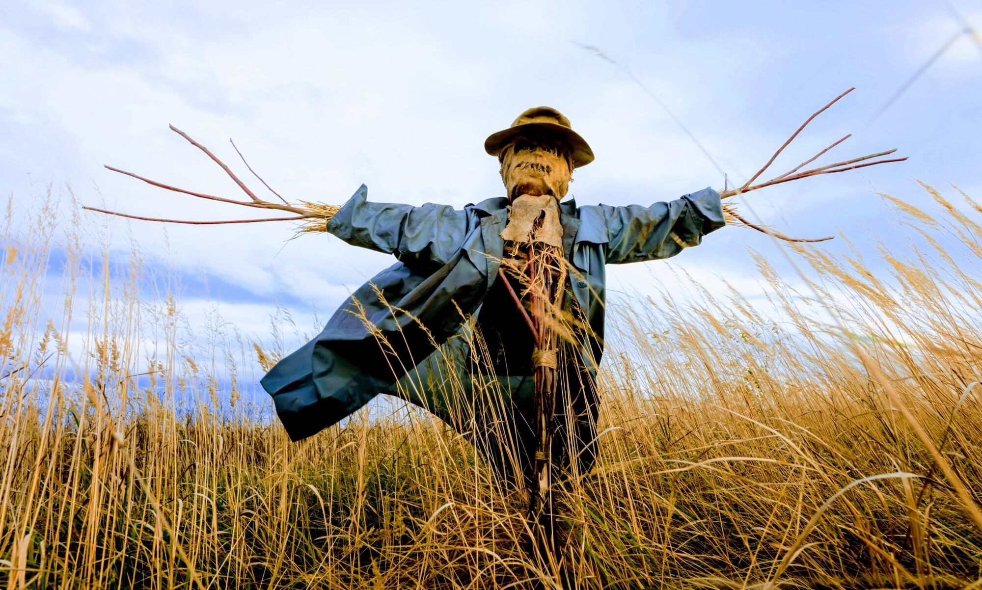 Uncovering the Meaning Behind Scarecrow Dreams 