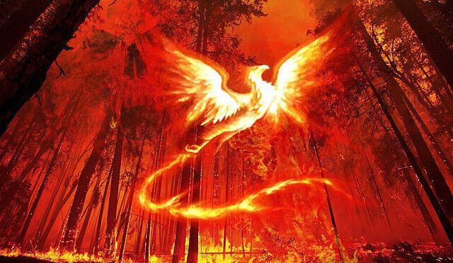 Phoenix Spirit Animal: What Does a Phoenix Symbolize?