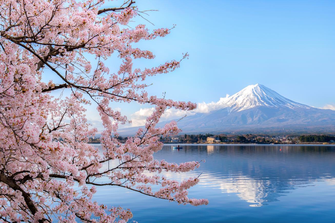 10 Spiritual Meanings of Cherry Blossom