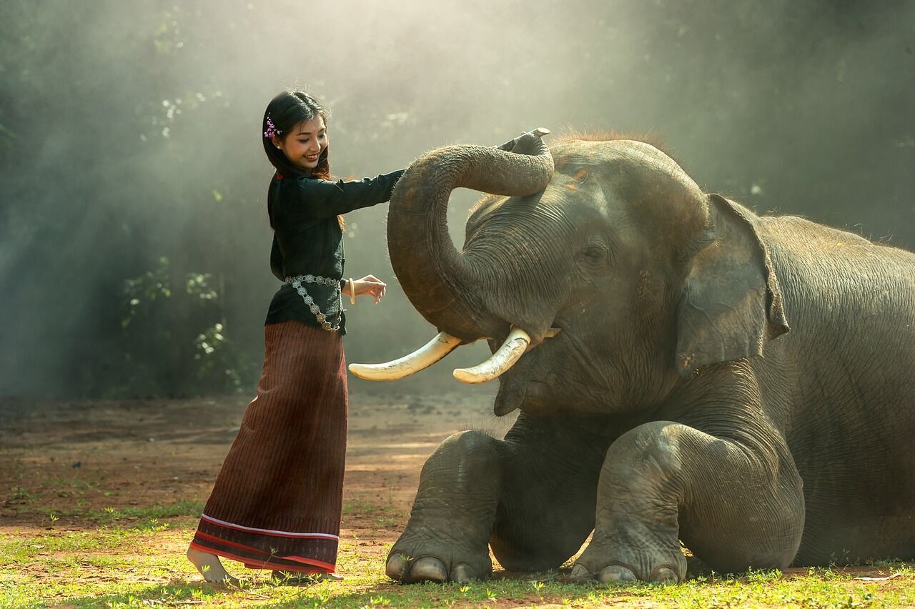 The power of the spirit animal, the elephant