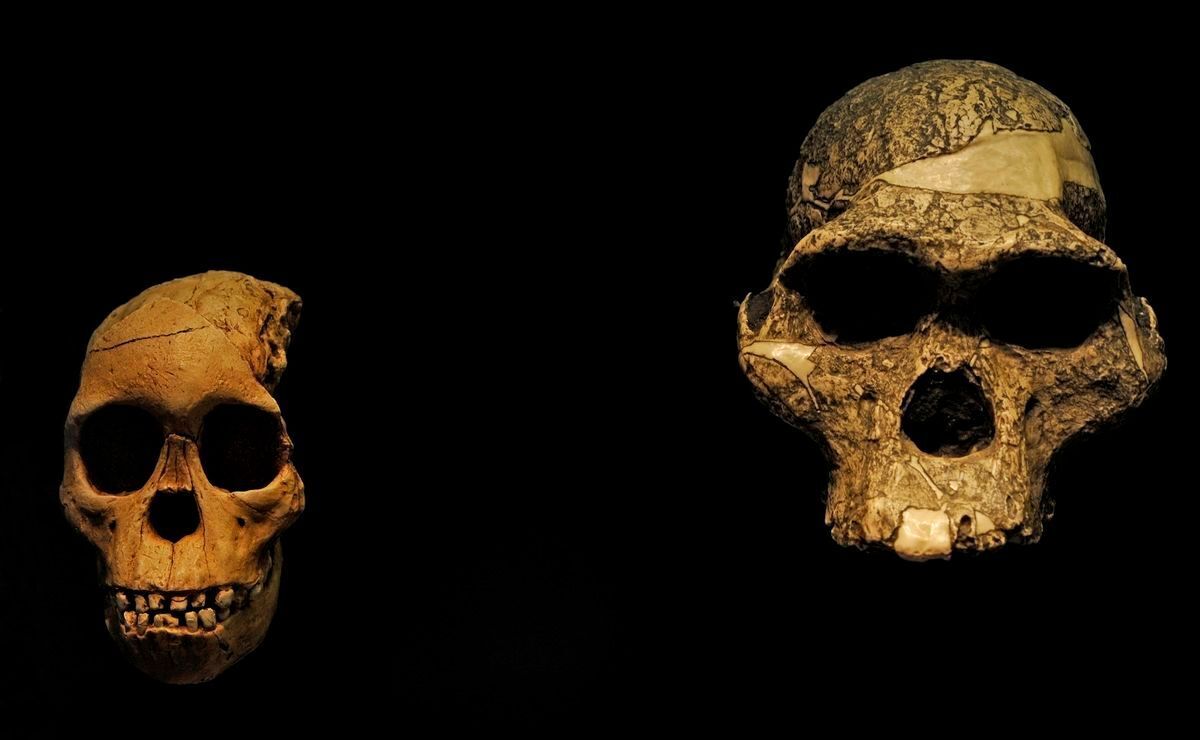 Famous Taung Child fossil from South Africa is 2.58 million years old, new study finds