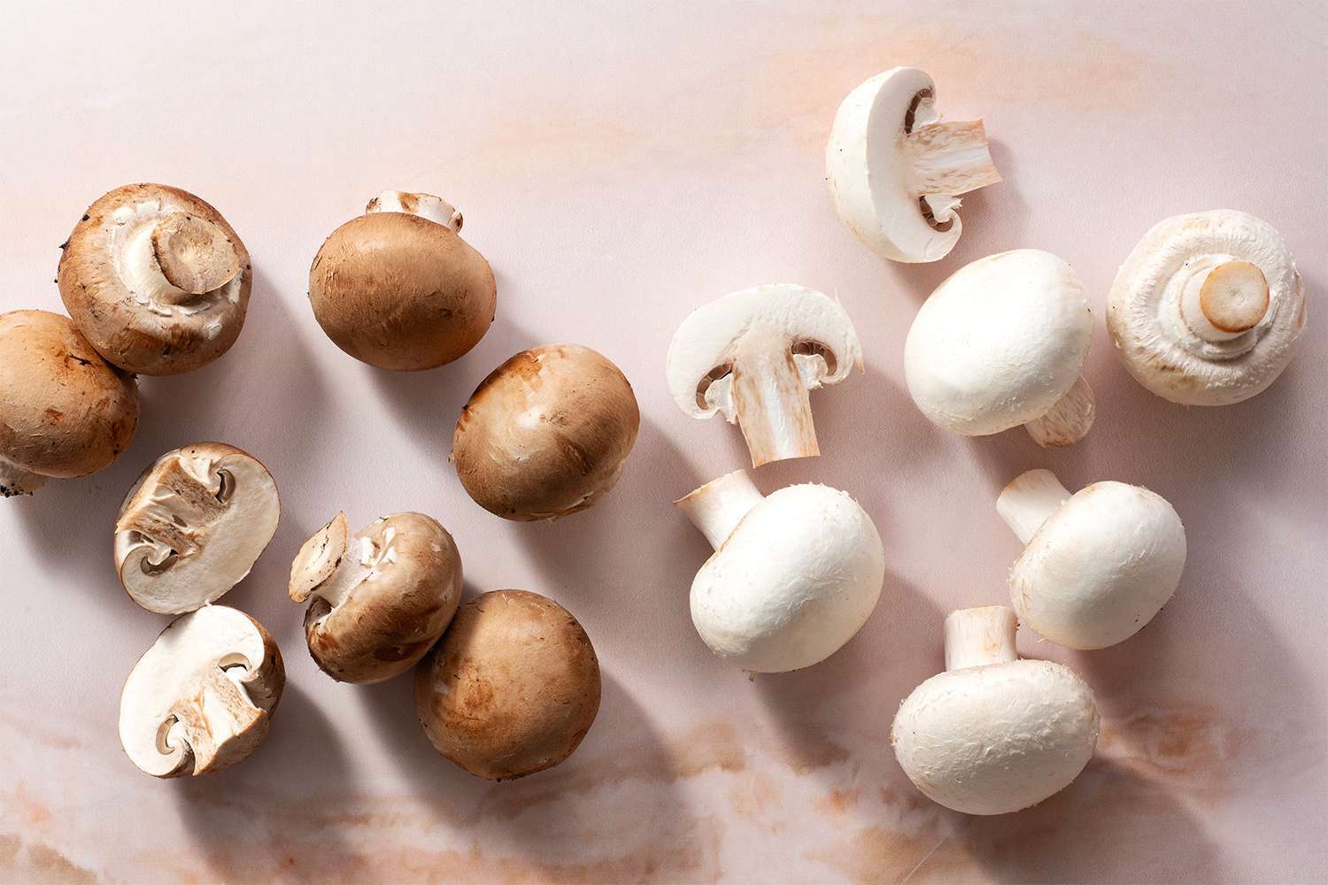 How to store mushrooms