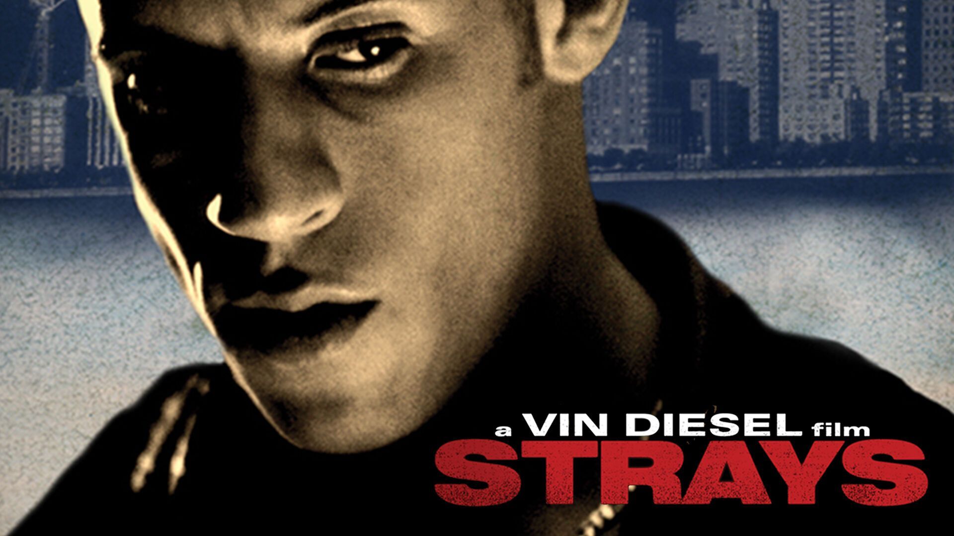 Vin Diesel made his directorial debut with the film "Strays"