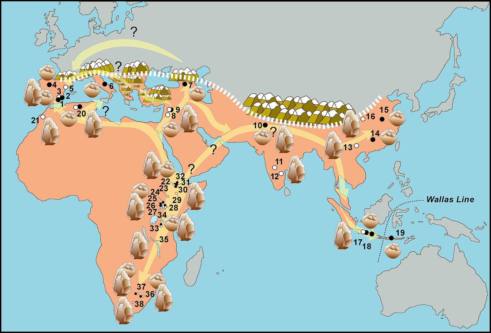 New findings have shed light on the earliest European hominids