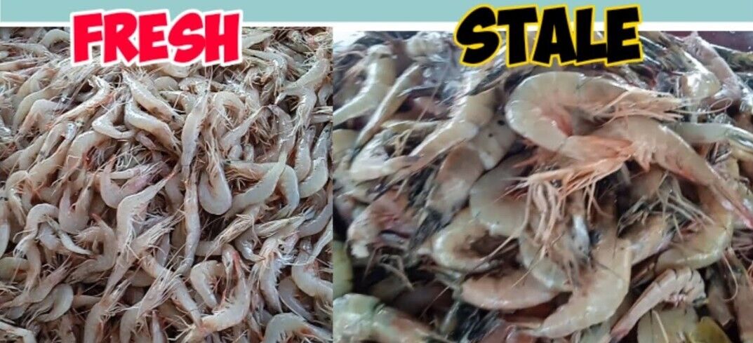 Characteristics of Fresh Shrimp: Ensure the Best Quality Before Buying