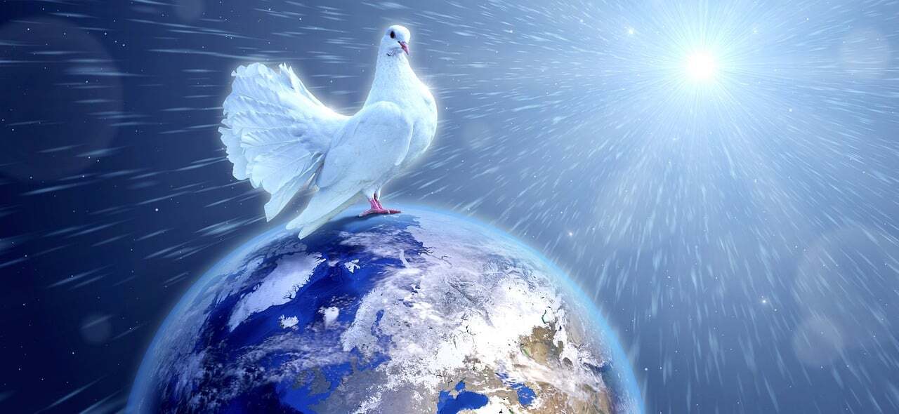 Dove – meaning in religions and cultures