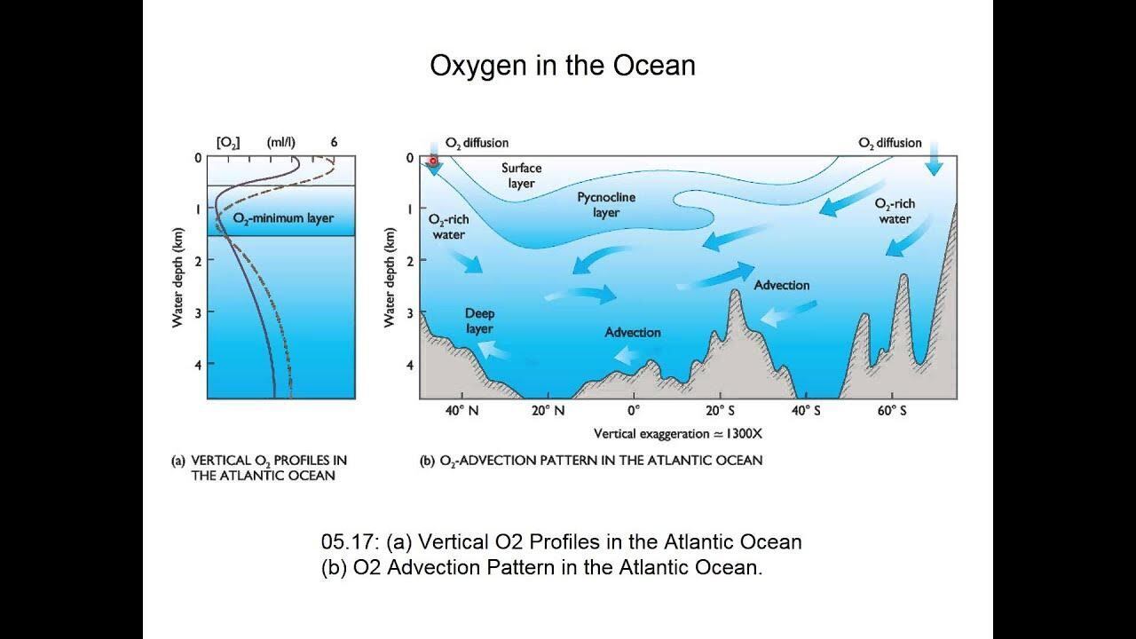 'Dark Oxygen' Discovered on Ocean Floor May Reshape Our Understanding of Life Origin