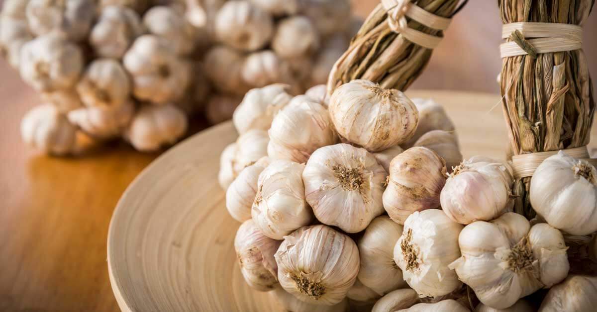 How to select high-quality fresh garlic at the grocery store