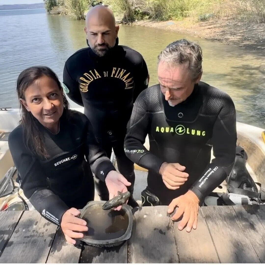 Divers with a find