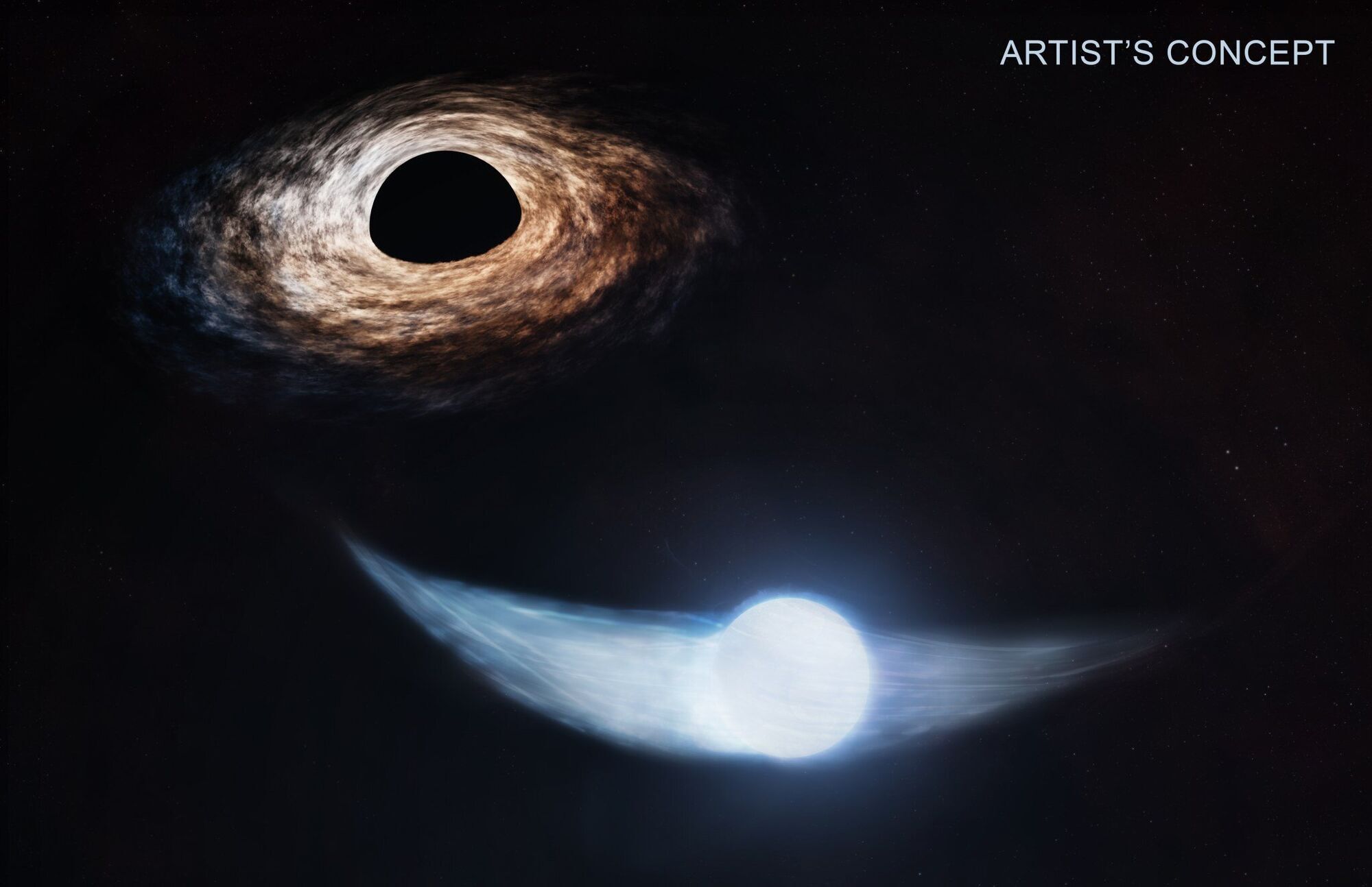 NASA Telescopes Illuminate Black Hole's Feeding Schedule