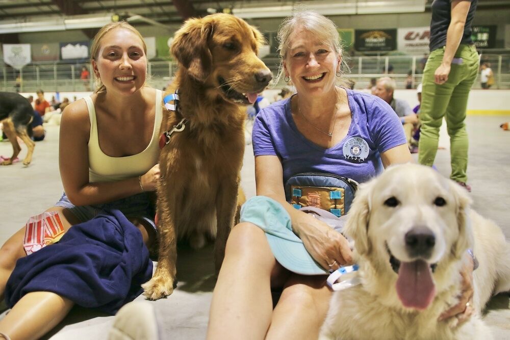 210 dogs and their owners gathered in Middlebury