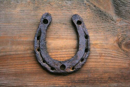 A horseshoe