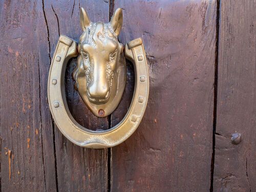 A horseshoe on the door