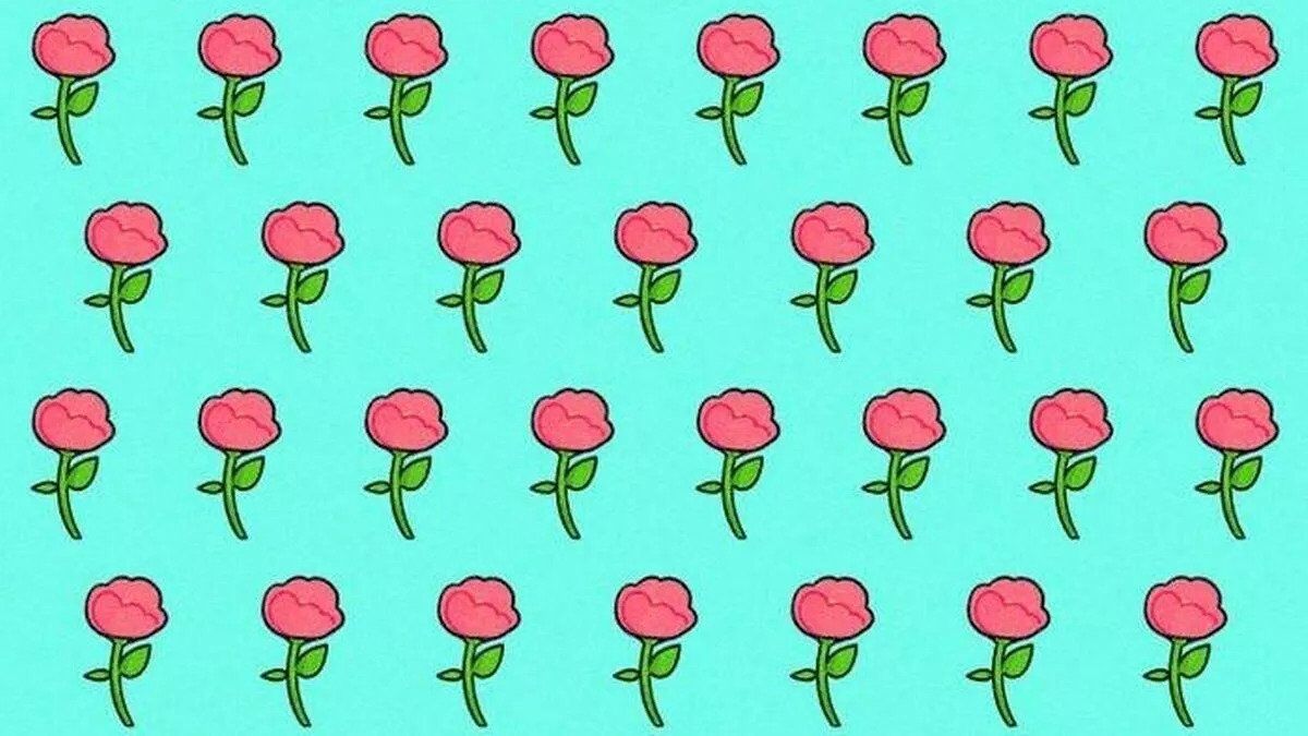 Find the odd rose in the picture in 5 seconds!