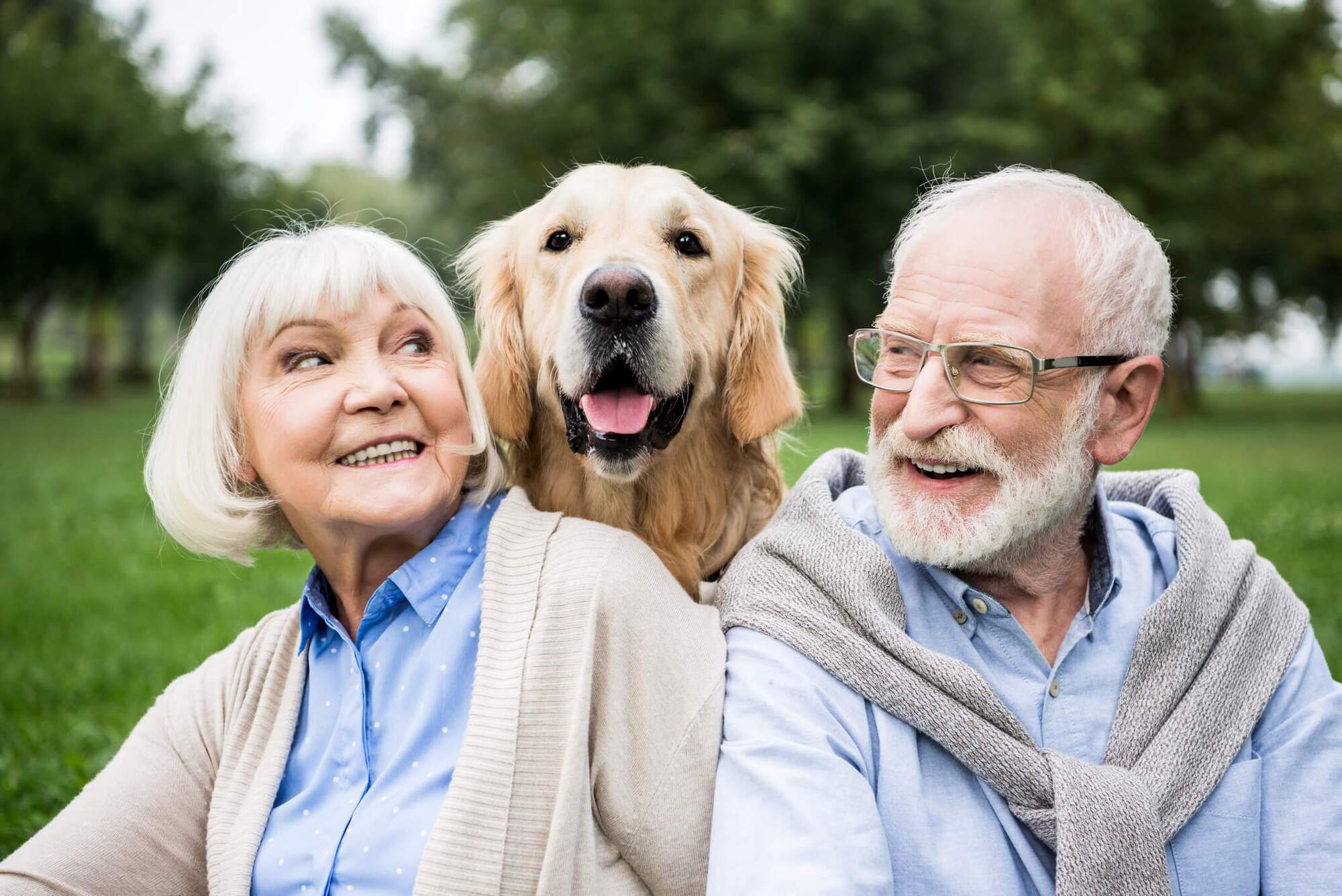 Aging Dogs Can Provide Insights for Human Longevity