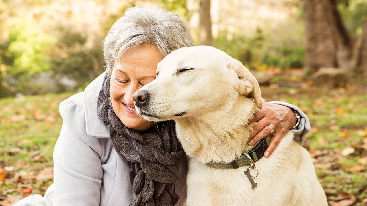 Aging Dogs Can Provide Insights for Human Longevity