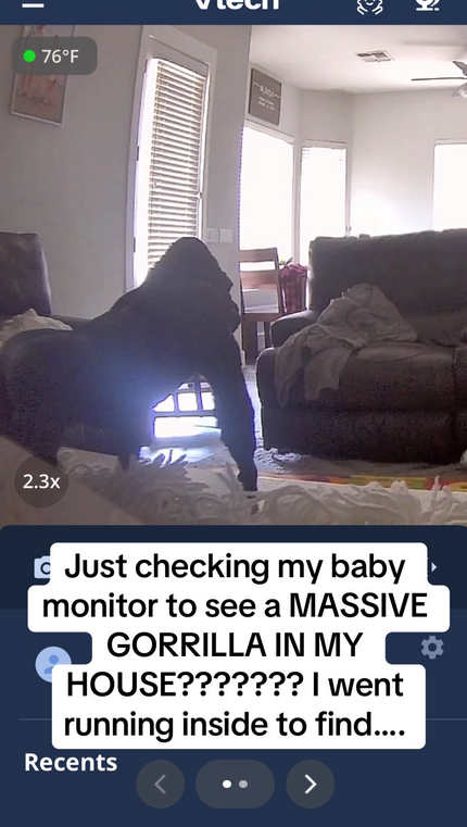 Mum Reacts Faster Than Flash After Seeing Gigantic Gorilla On Baby Monitor 