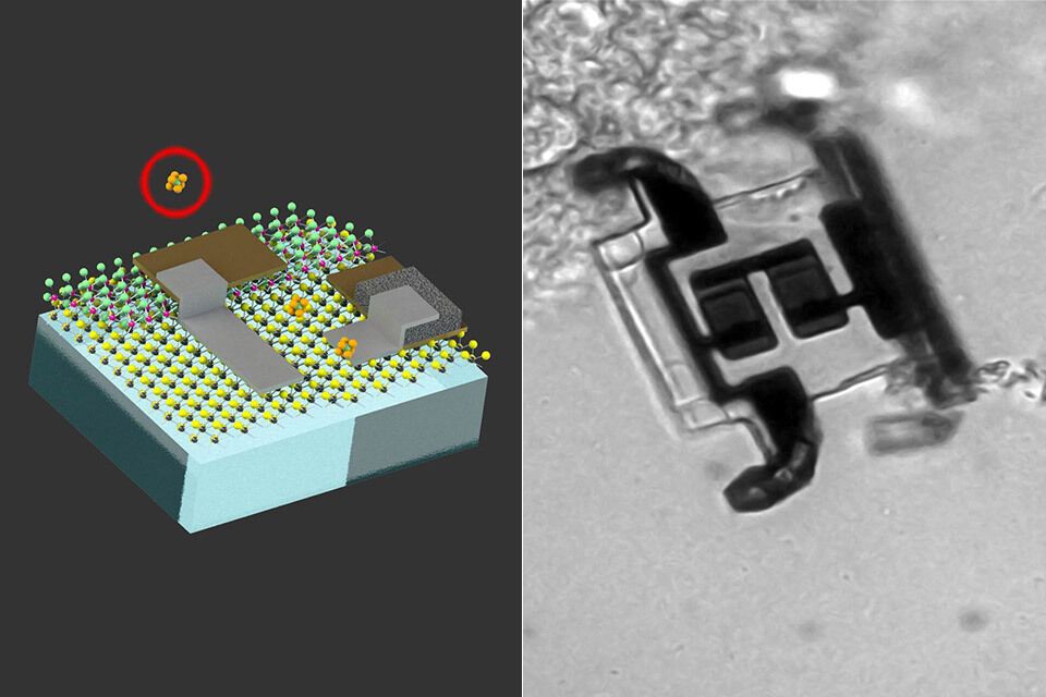 MIT engineer batteries cell sized robots