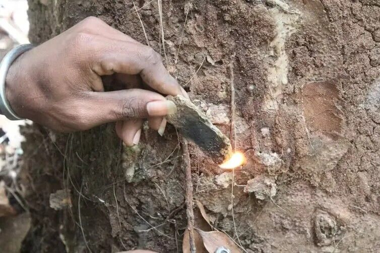 The tree resin artefact found at Mololo Cave