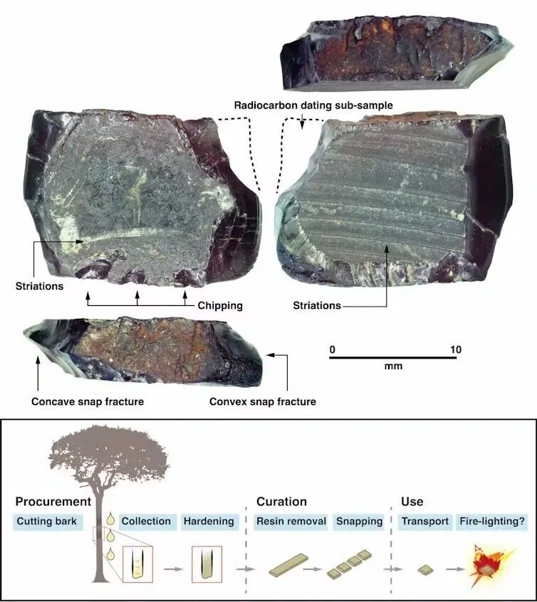 The tree resin artefact found at Mololo Cave dates back to 55,000 to 50,000 years ago.